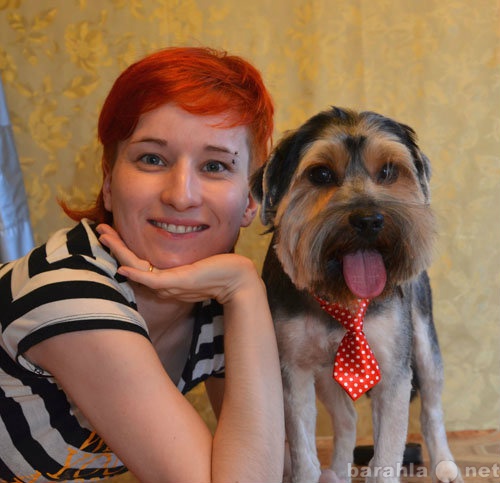 Предложение: Стрижка собак в Зеленограде