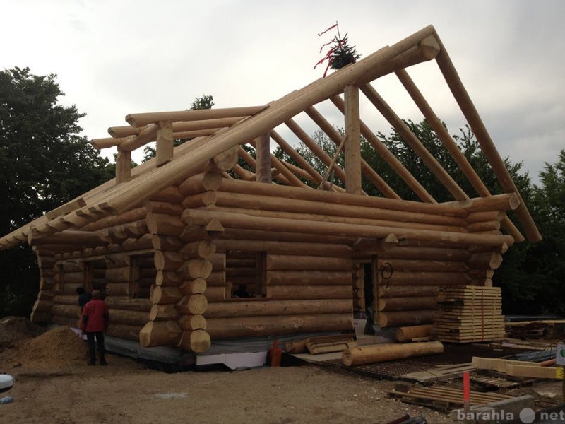 Предложение: строительство деревянных домов