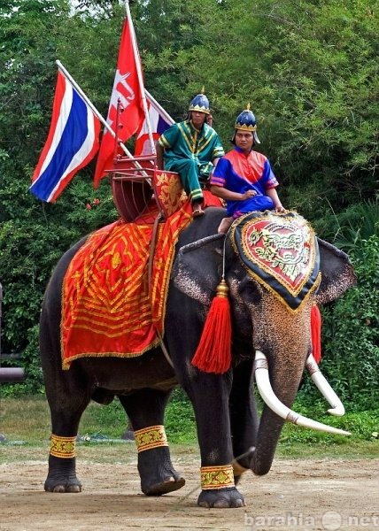 Предложение: Горит тур в Тайланд из Стерлитамака
