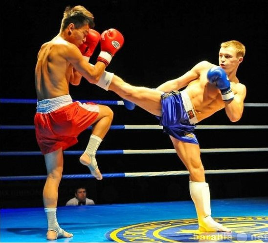 Предложение: Бокс и кикбоксинг