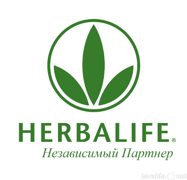 Предложение: Независимый партнер Herbailfe