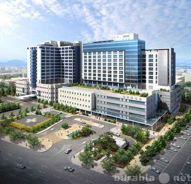 Предложение: Больницы  и лечение в  Корее