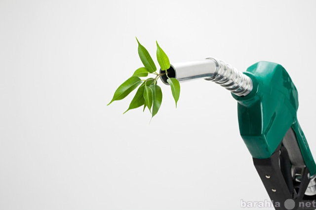 Спрос: Ищем инвестора в про-во биотоплива в ЕС.