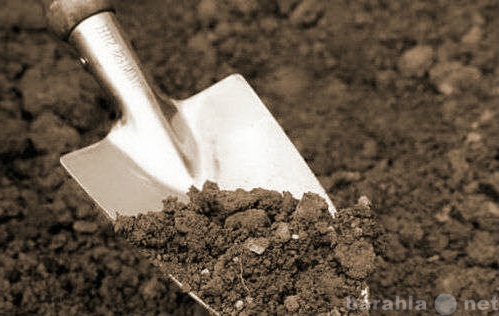 Предложение: Земляные работы, землекопы, копаем грунт