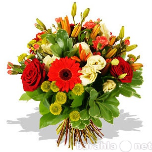 Предложение: Flora - цветы с доставкой по Самаре и об