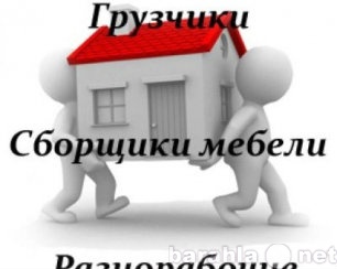 Предложение: услуги грузчиков разнорабочие