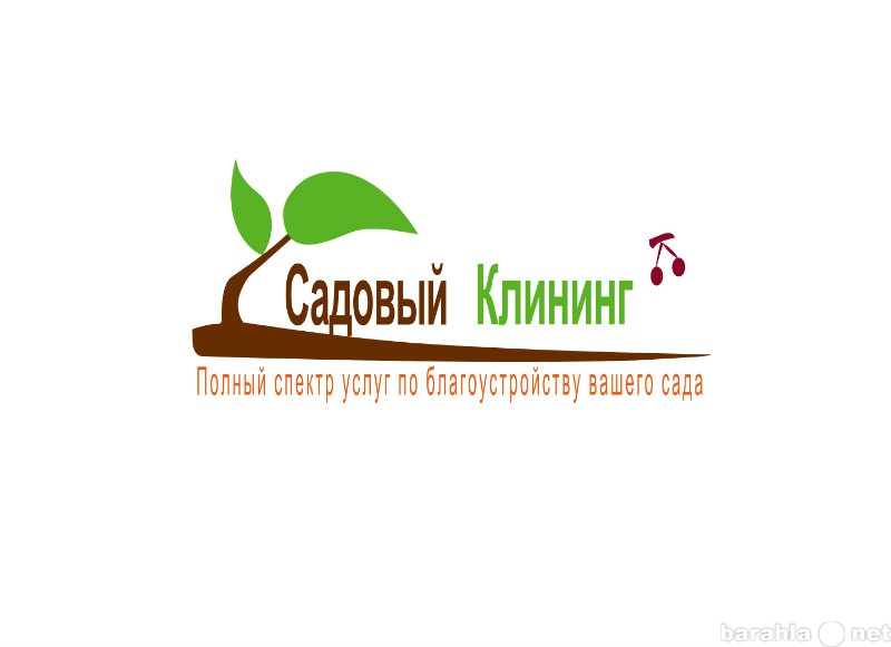 Предложение: Скос, покос травы во Владимире и области