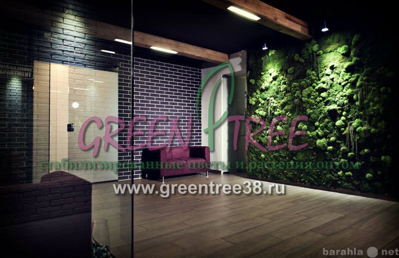 Предложение: Озеленение от Green Tree