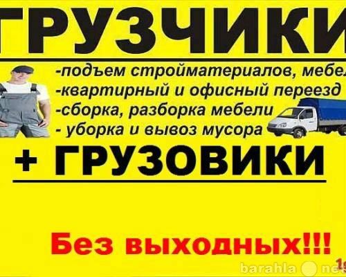 Предложение: Заказ грузчиков и транспорта