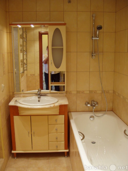 Предложение: Ремонт ванных комнат и санузла