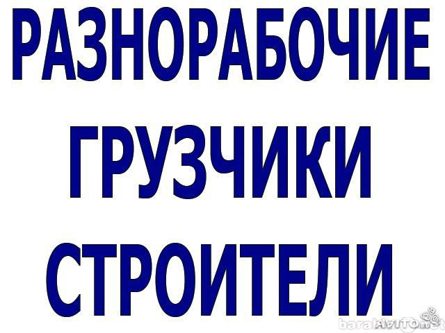 Предложение: Подсобники, разнорабочие