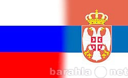 Предложение: Перевод с русского на сербский