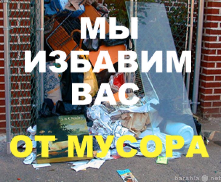 Предложение: Вывоз мусора