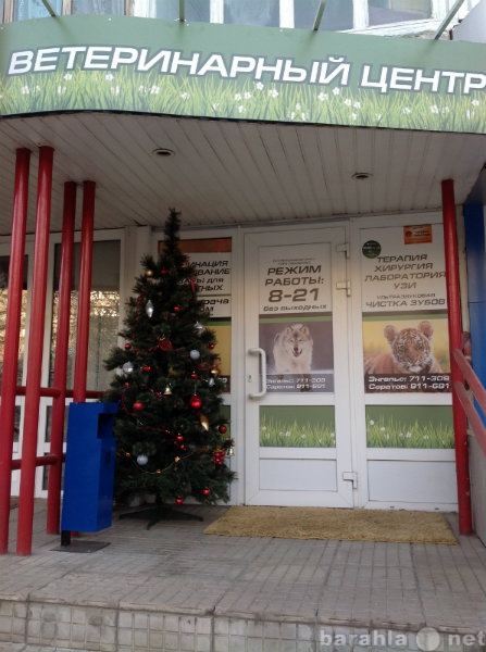 Предложение: Ветеринарная клиника в Энгельсе