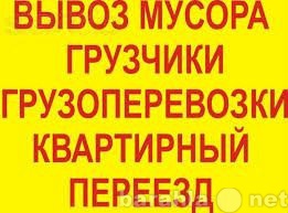 Предложение: Квартирные переезды Омск