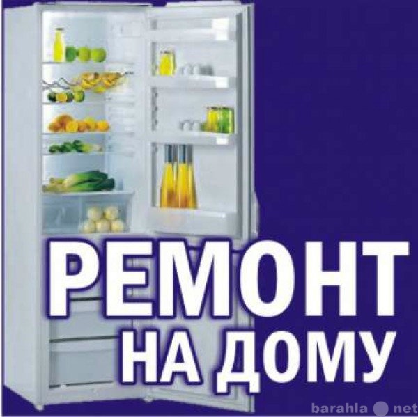 Предложение: Ремонт бытовых холодильников