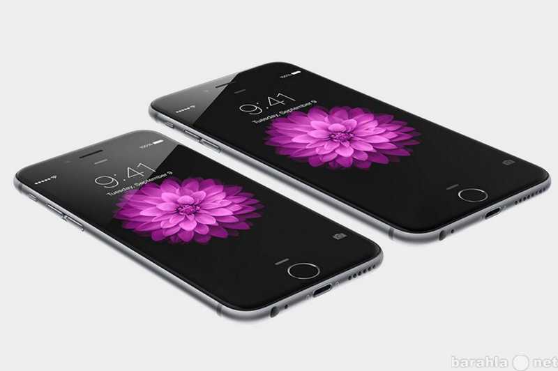 Предложение: Замена дисплея на iPhone 6