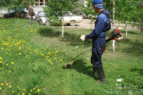 Предложение: Покос травы и расчитка участков