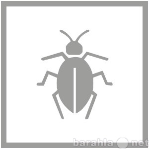 Предложение: Уничтожение насекомых - Тараканов,Клопов