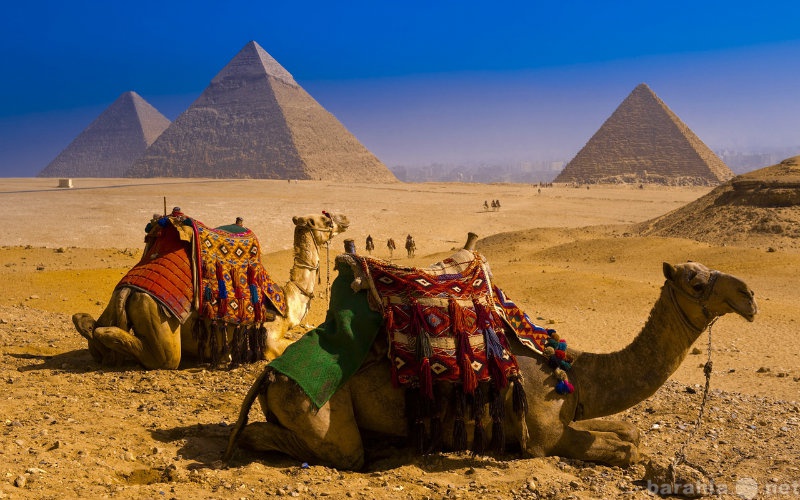 Предложение: Туры в Египет