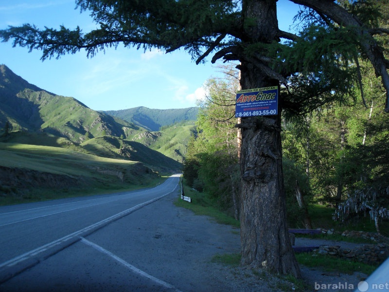 Предложение: Набираем группу туристов в Горный Алтай