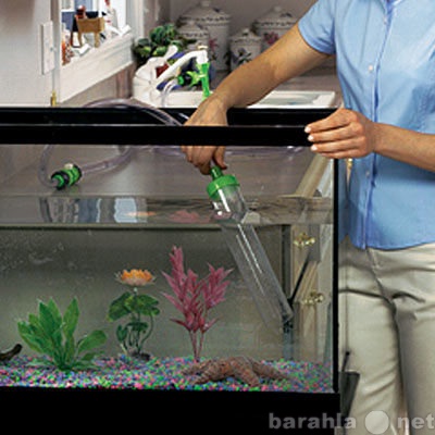 Предложение: Очистка аквариумов