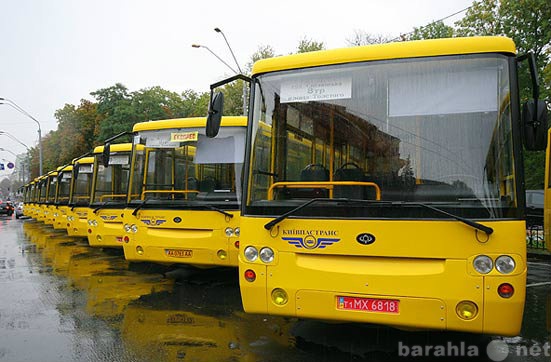 Предложение: Автобусы и микроавтобусы