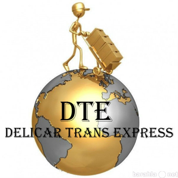 Предложение: курьерская служба доставки DTE