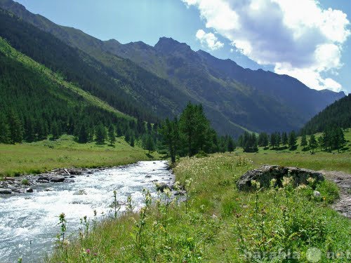 Предложение: Туры в горы.3 июня- Ущелье реки Даут!