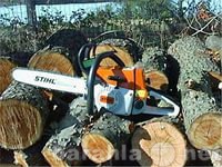 Предложение: спиливание деревьев кронирование обрезка