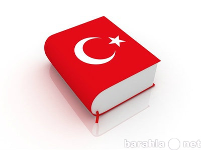Предложение: Письменный перевод с турецкого языка