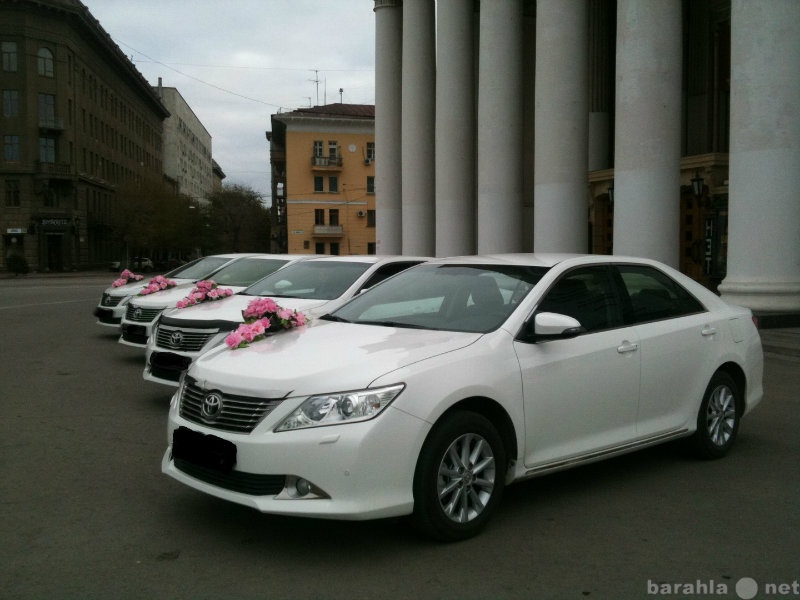 Предложение: Toyota Camry New белые и черные 7 едениц