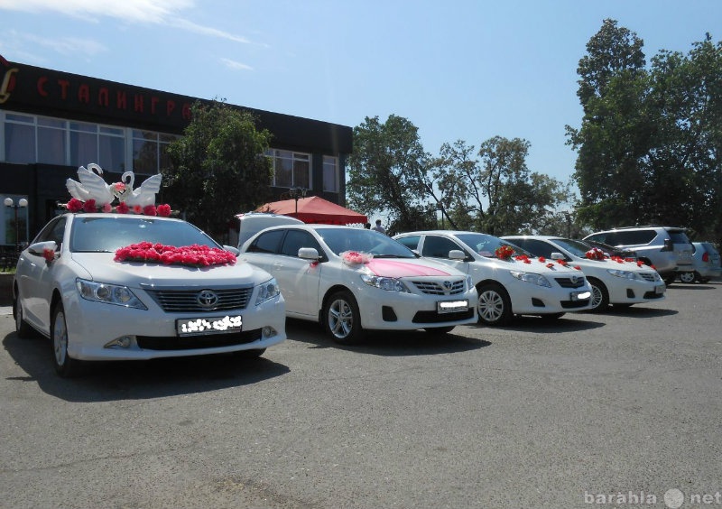 Предложение: Toyota Corolla аренда авто на свадьбу