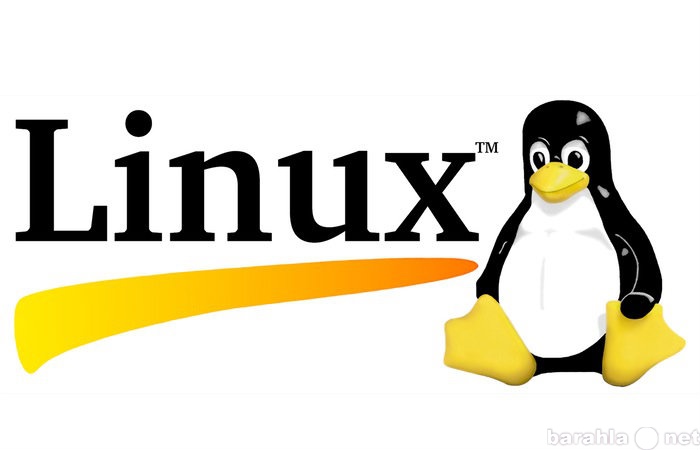 Предложение: Установка и настройка Linux систем