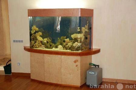 Предложение: Обслуживание аквариума