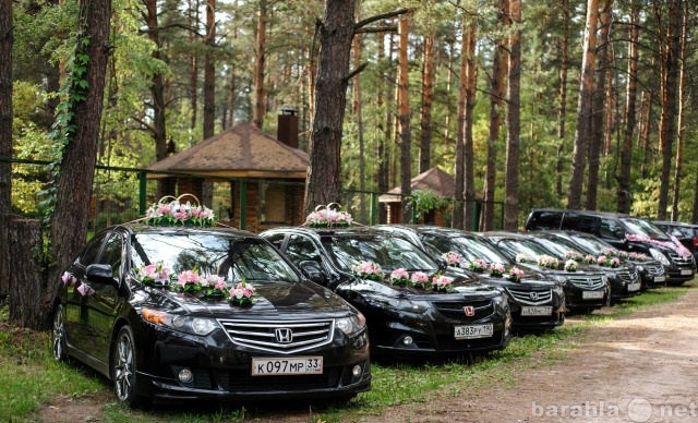 Предложение: Свадебный кортеж Honda Accord г.Ковров