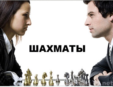 Предложение: Шахматная школа в Ярославле