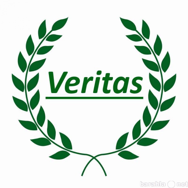 Предложение: Юридическое агентство "Veritas