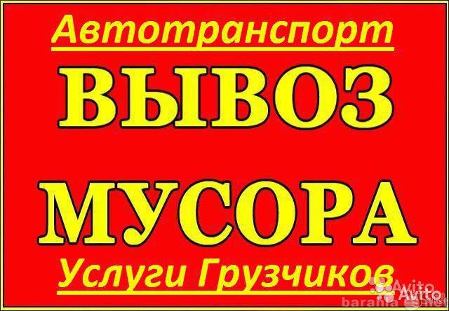 Предложение: вывоз мусора