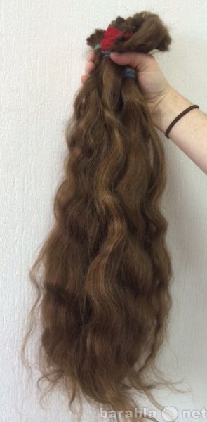 Спрос: Куплю волосы неокрашенные от 30 см