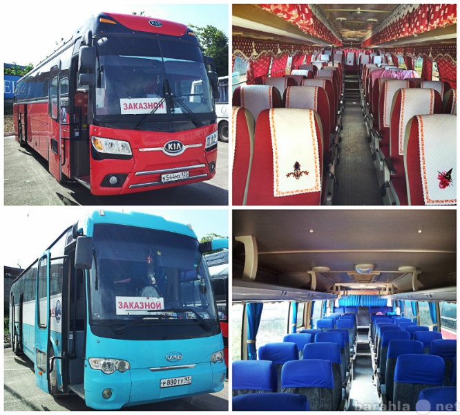 Предложение: Автобусы и микроавтобусы в Краснодаре