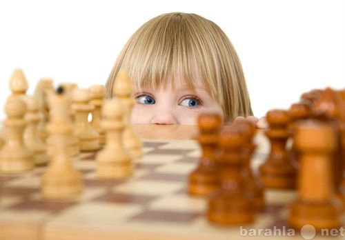 Предложение: шахматы для детей