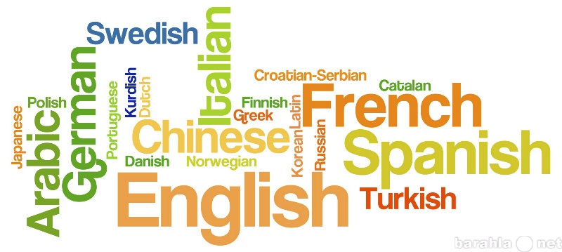 Предложение: Занятия иностранных языков