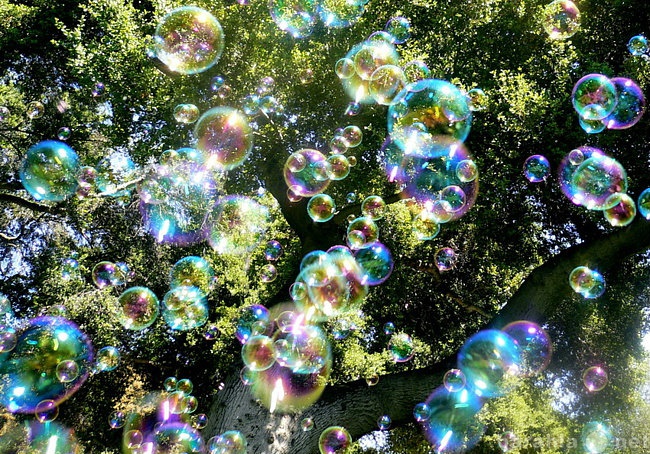Предложение: Шоу Гигантских мыльных пузырей