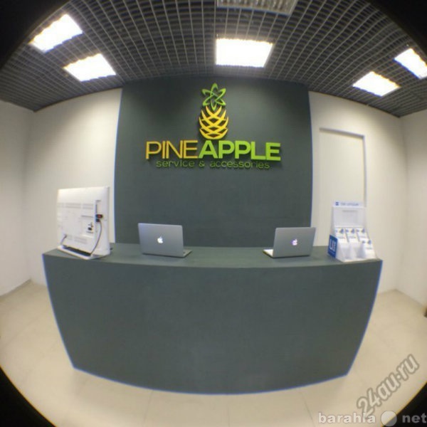 Предложение: PineApple - специализированный ремонт те