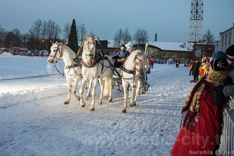 Предложение: Лучший Дед Мороз России 2008 года