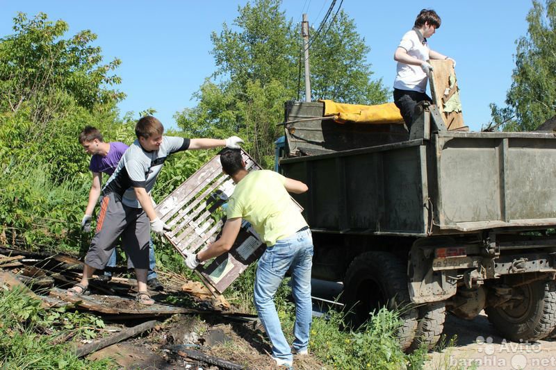 Предложение: Вывоз мусора. уборка территории.