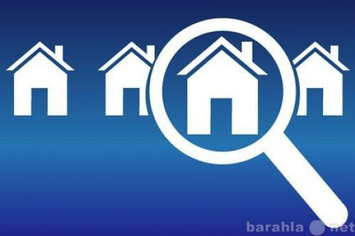 Предложение: Помощь эксперта по недвижимости