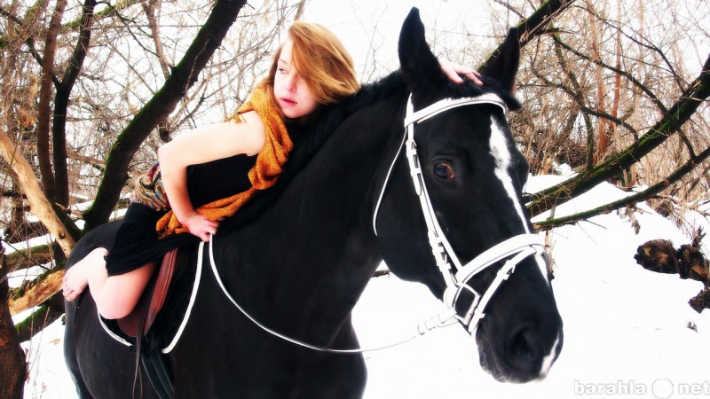 Предложение: Фотосессия с лошадьми