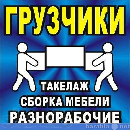 Предложение: Услуг грузчиков